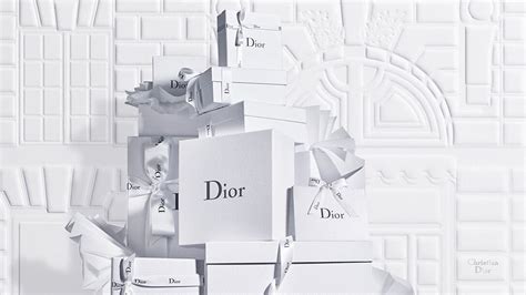 christian dior france website|christian dior official website france.